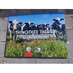 Fromages - La Ferme Des Moreaux