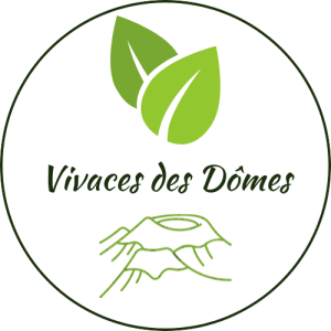 Vivaces Des Dômes