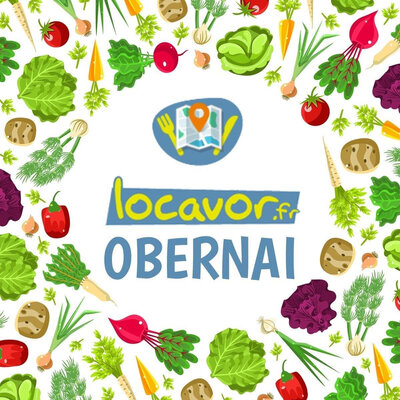 Logo Obernai