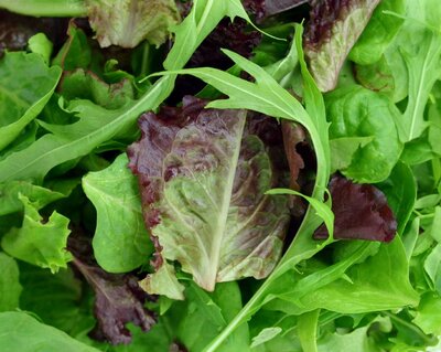 Salade mélangee 250 grammes