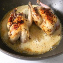 Perdrix grise de chasse