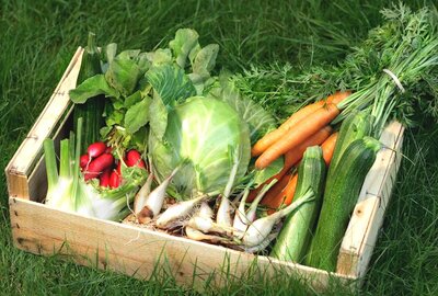 * panier légumes de saison 15 euros