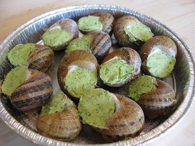 12 escargots en coquille - surgele