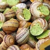 60 escargots en coquille - surgele