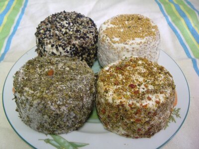 Crottin pur chevre