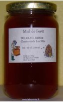 Miel de forêt du pilat