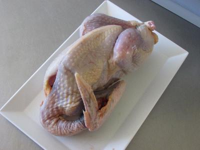 Pintade