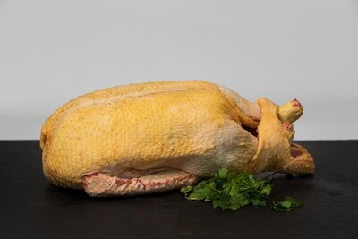 Cannette fermière barbarie 1,500kg