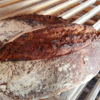 Pain d'emmer noir bio