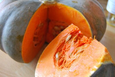 Courge de musquée