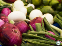 Oignon  botte