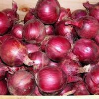 Oignon rouge-1kg