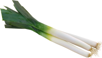 Poireau-500g