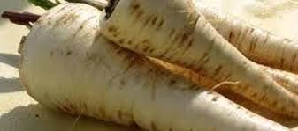 Panais