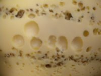 Gouda normand jeune au cumin