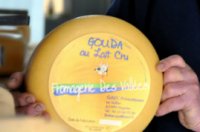 Gouda normand jeune nature