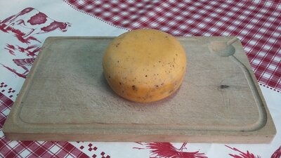 Gouda normand  jeune aux truffes