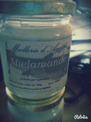 Miel noisettes
