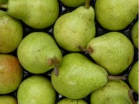 Poire Doyenne Du Comice, 3 kg