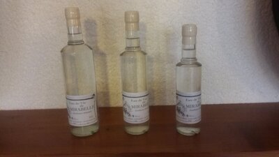 Eau de vie de mirabelle 50cl
