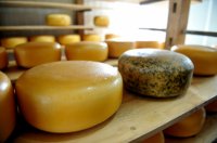 Gouda normand affiné ail/fines herbes