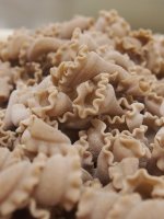 Campanelle bio à l'épeautre