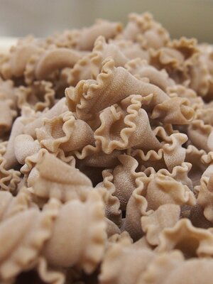 Campanelle bio au petit épeautre