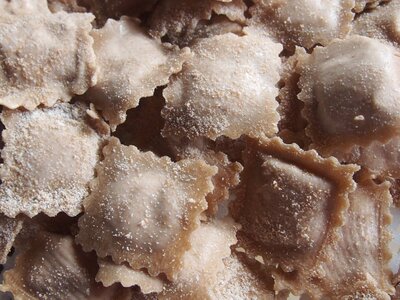 Ravioli bio au boeuf (frais)
