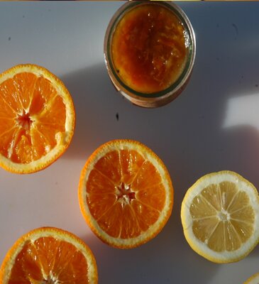 Le petit pot de fruit orange citron