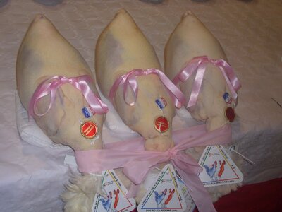 Poularde de bresse aoc 2 kg