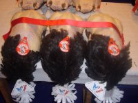 Dinde de bresse aoc 3.5kg