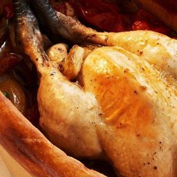 Coq fermier