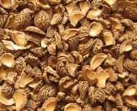 Biogranulats 