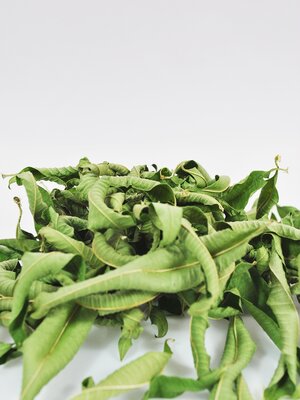 Tisane de verveine