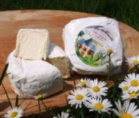 --- frais : castillonnette