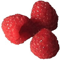 Gelée de framboise