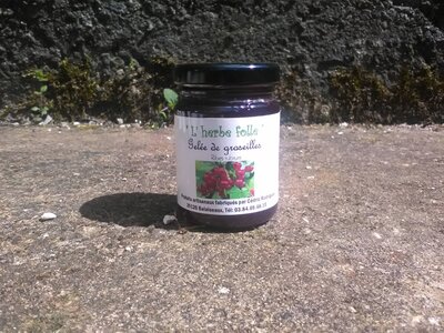 Gelée de groseille