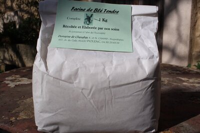 Farine de blé tendre complète