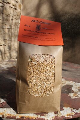 Petit épeautre en grains 500 gramme