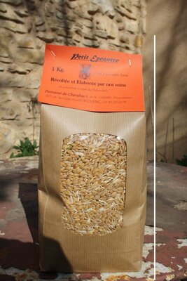Petit épeautre en grains 1 kilo