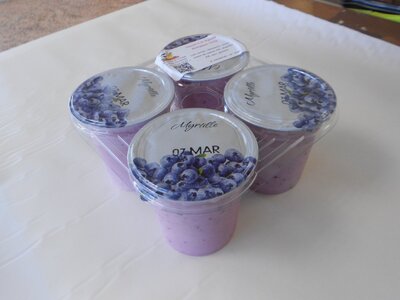 Yaourts aromatisés à la myrtille par barquette de 4u