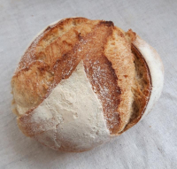 Pain campagne 'blés anciens'