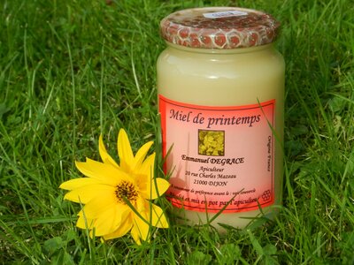Miel de fleurs de printemps 500g