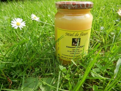 Miel de fleurs d'été 500g