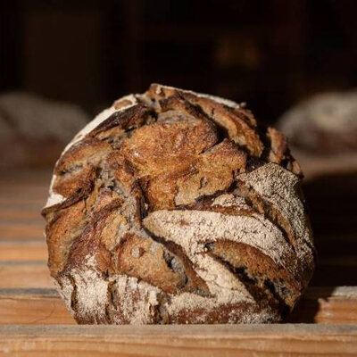 Pain blé châtaigne et engrain bio