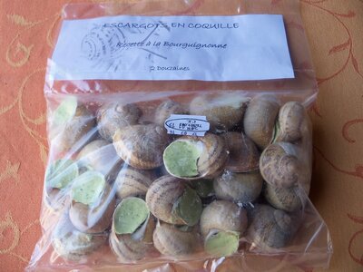Escargots en coquilles traditionnelles - sachet vrac de 2 dz