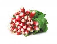 1 x botte de radis, octeville sur me