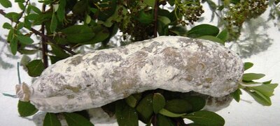 Saucisson nature traditionnel