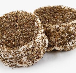 Crottin aux herbes