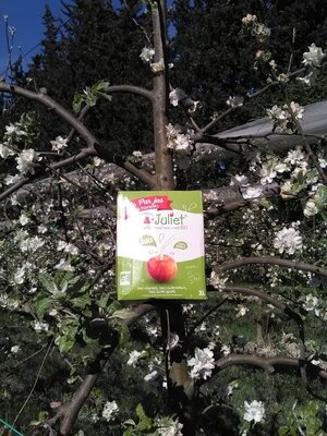 Jus de pomme juliet bio 3l en cubi